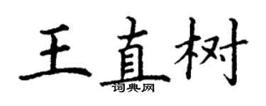 丁谦王直树楷书个性签名怎么写