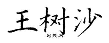 丁谦王树沙楷书个性签名怎么写