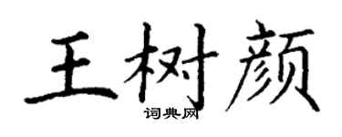 丁谦王树颜楷书个性签名怎么写