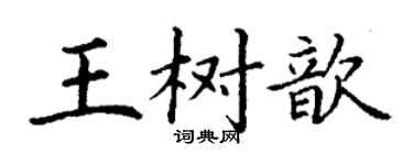 丁谦王树歆楷书个性签名怎么写