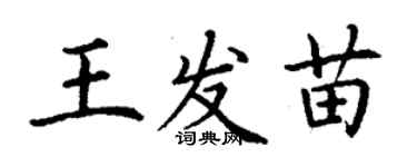 丁谦王发苗楷书个性签名怎么写