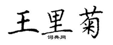 丁谦王里菊楷书个性签名怎么写