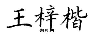 丁谦王梓楷楷书个性签名怎么写