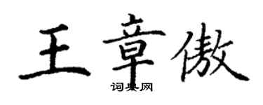 丁谦王章傲楷书个性签名怎么写