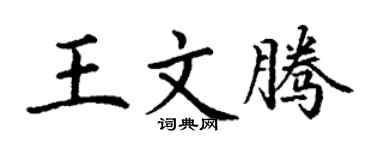 丁谦王文腾楷书个性签名怎么写