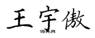 丁谦王宇傲楷书个性签名怎么写
