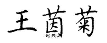 丁谦王茵菊楷书个性签名怎么写