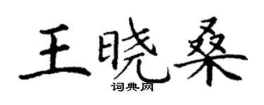 丁谦王晓桑楷书个性签名怎么写