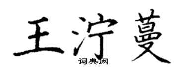 丁谦王泞蔓楷书个性签名怎么写