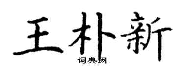 丁谦王朴新楷书个性签名怎么写
