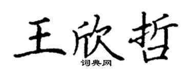 丁谦王欣哲楷书个性签名怎么写