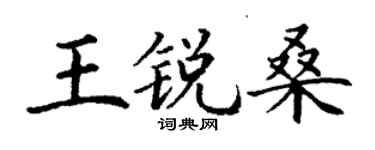 丁谦王锐桑楷书个性签名怎么写