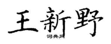 丁谦王新野楷书个性签名怎么写