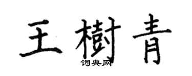 何伯昌王树青楷书个性签名怎么写