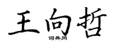 丁谦王向哲楷书个性签名怎么写