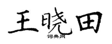 丁谦王晓田楷书个性签名怎么写