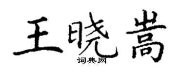 丁谦王晓嵩楷书个性签名怎么写