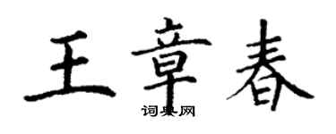 丁谦王章春楷书个性签名怎么写