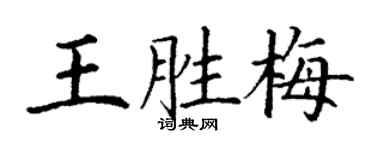 丁谦王胜梅楷书个性签名怎么写