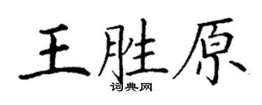 丁谦王胜原楷书个性签名怎么写