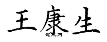 丁谦王康生楷书个性签名怎么写