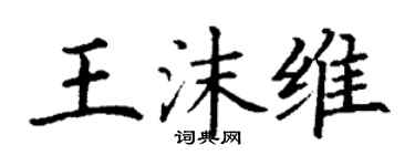 丁谦王沫维楷书个性签名怎么写