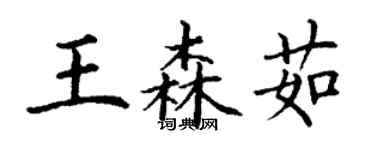 丁谦王森茹楷书个性签名怎么写