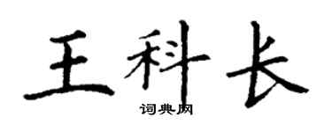 丁谦王科长楷书个性签名怎么写