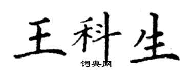 丁谦王科生楷书个性签名怎么写