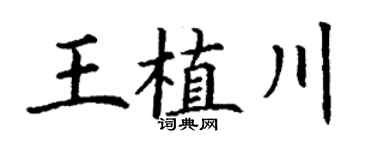 丁谦王植川楷书个性签名怎么写