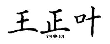 丁谦王正叶楷书个性签名怎么写
