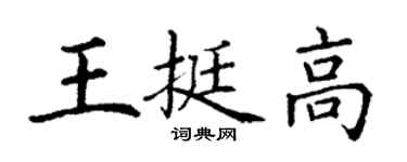 丁谦王挺高楷书个性签名怎么写