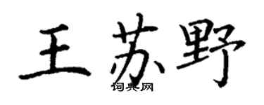 丁谦王苏野楷书个性签名怎么写