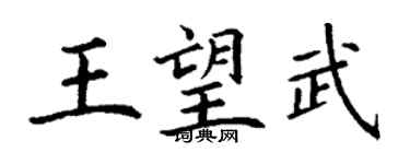 丁谦王望武楷书个性签名怎么写