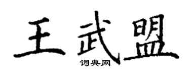 丁谦王武盟楷书个性签名怎么写