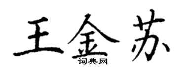 丁谦王金苏楷书个性签名怎么写