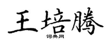 丁谦王培腾楷书个性签名怎么写