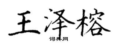 丁谦王泽榕楷书个性签名怎么写