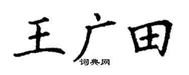 丁谦王广田楷书个性签名怎么写