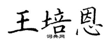 丁谦王培恩楷书个性签名怎么写