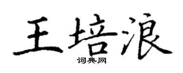 丁谦王培浪楷书个性签名怎么写