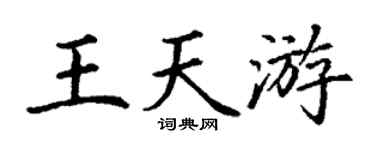 丁谦王天游楷书个性签名怎么写