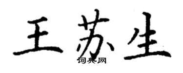 丁谦王苏生楷书个性签名怎么写