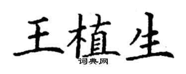 丁谦王植生楷书个性签名怎么写