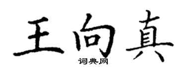 丁谦王向真楷书个性签名怎么写