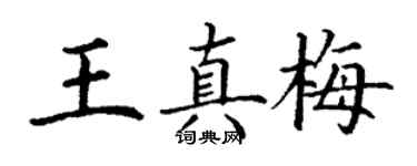丁谦王真梅楷书个性签名怎么写