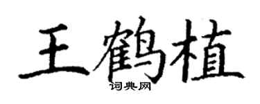 丁谦王鹤植楷书个性签名怎么写