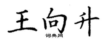 丁谦王向升楷书个性签名怎么写