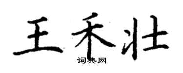 丁谦王禾壮楷书个性签名怎么写