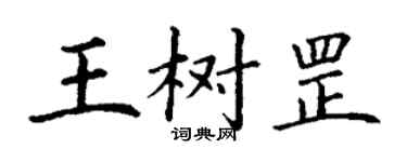 丁谦王树罡楷书个性签名怎么写